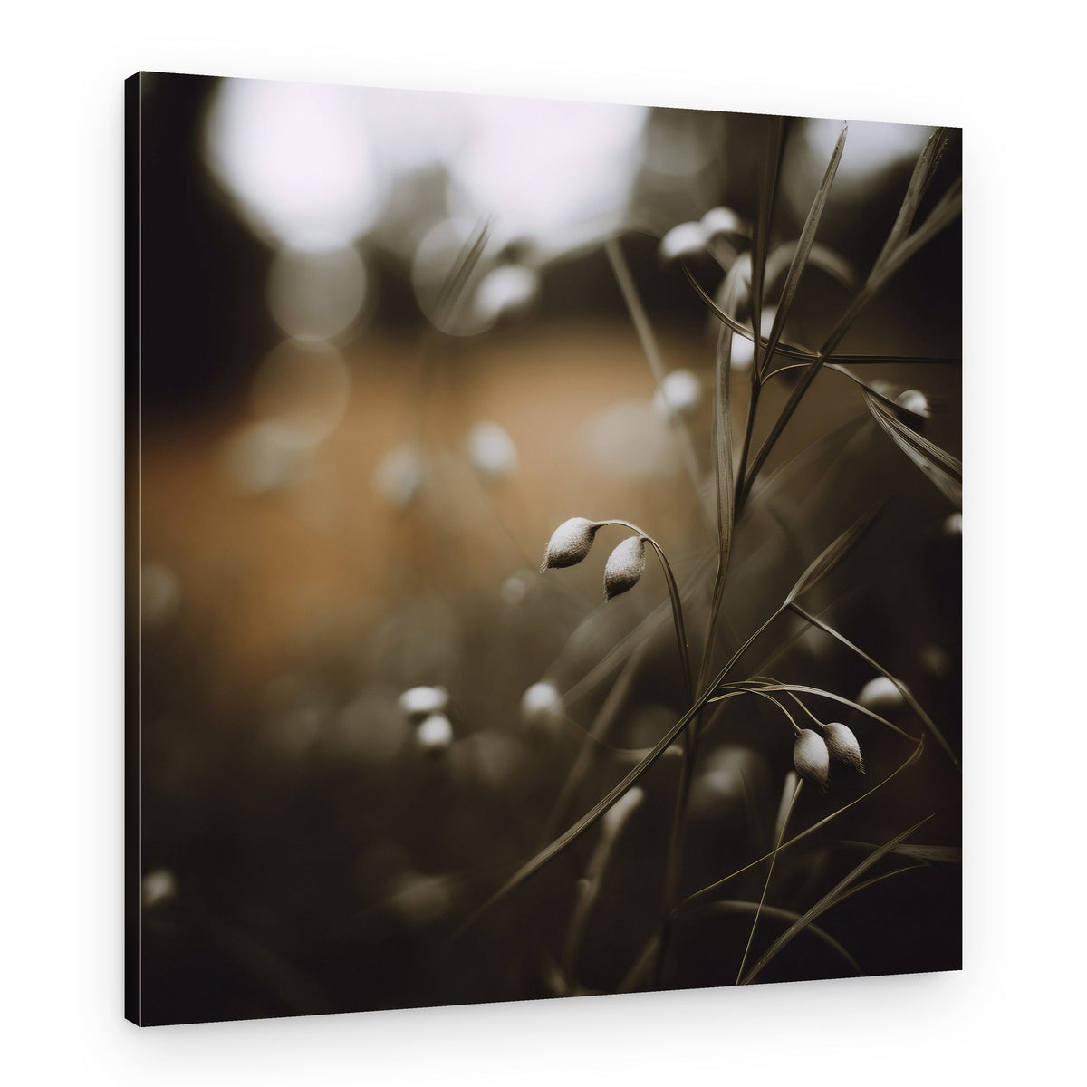 Dreamy Grasses – Canvas Print