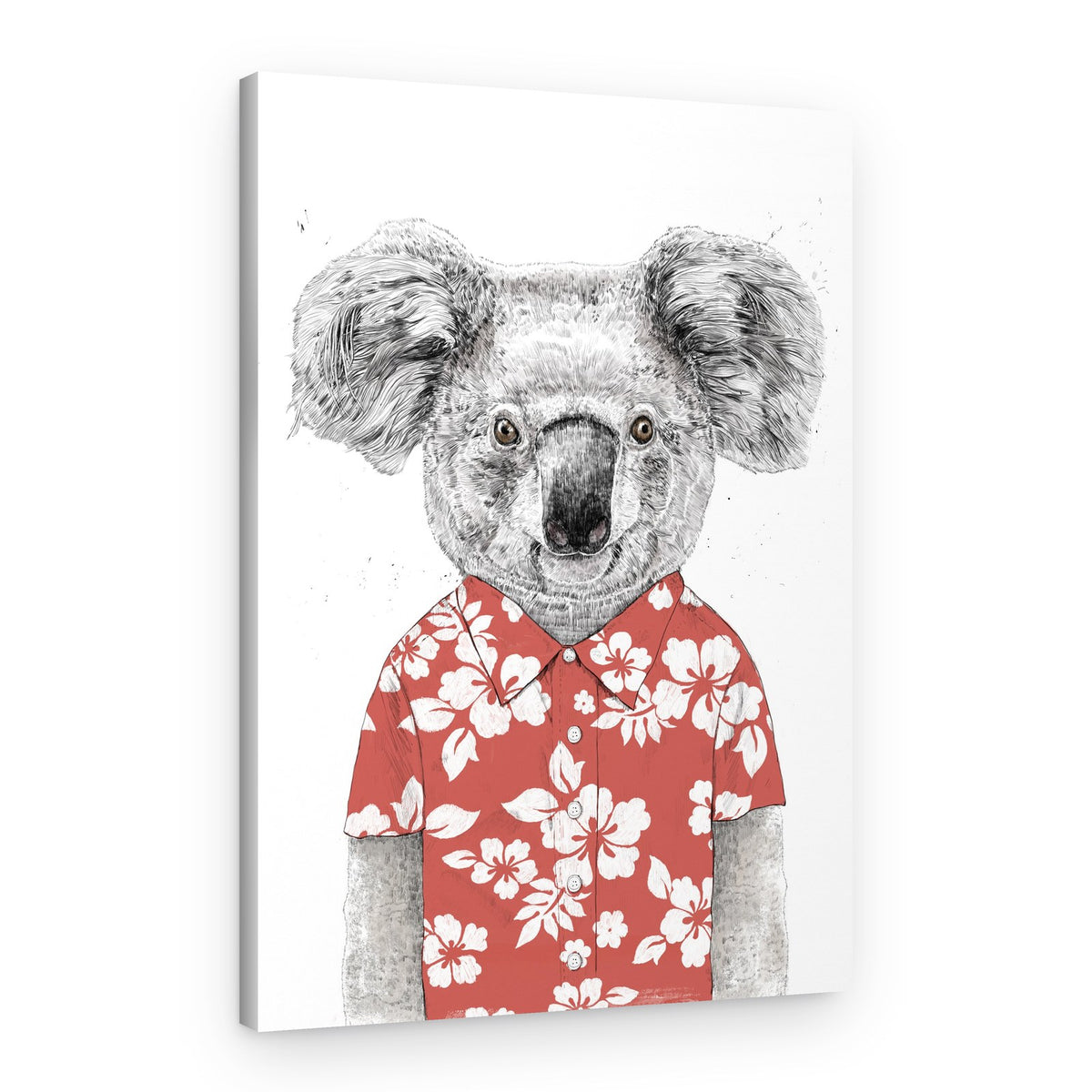 Funny Koala Summer – Canvas Print