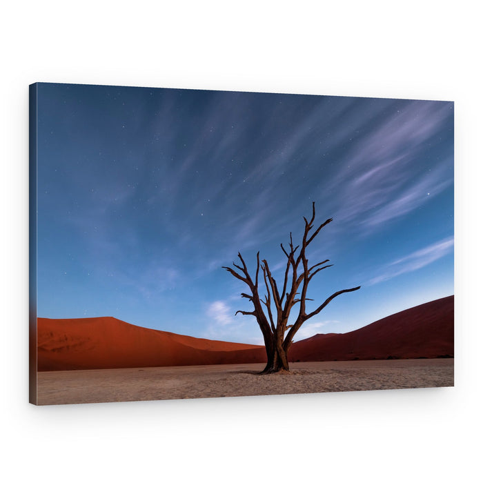 Starry Desert Tree Night – Canvas Print