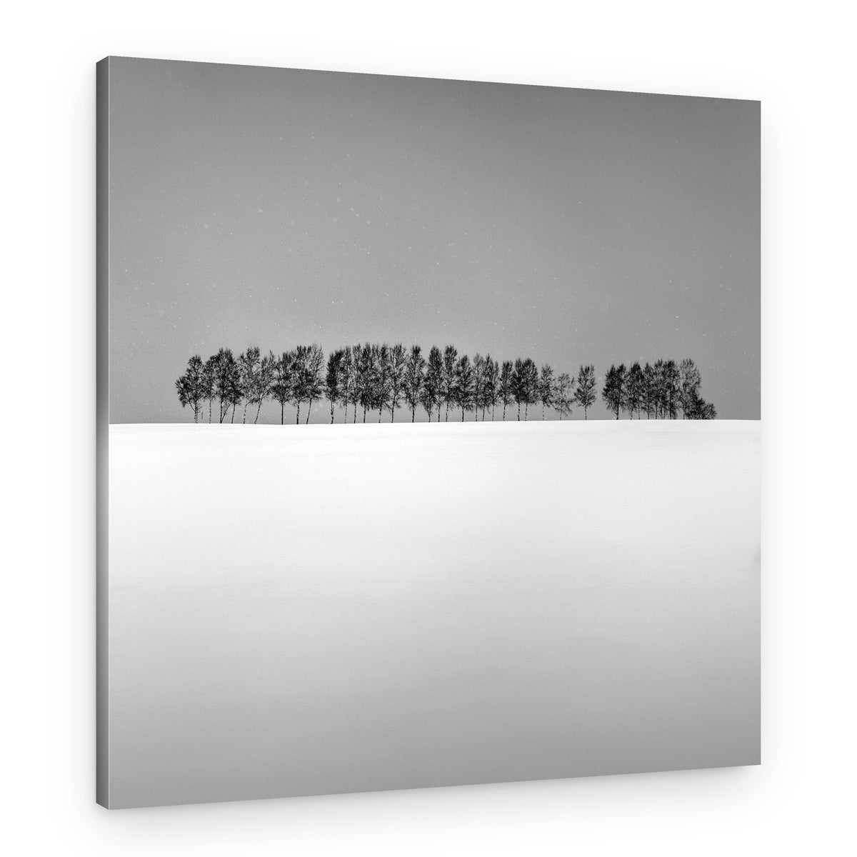 Snowy Horizon Trees – Canvas Print