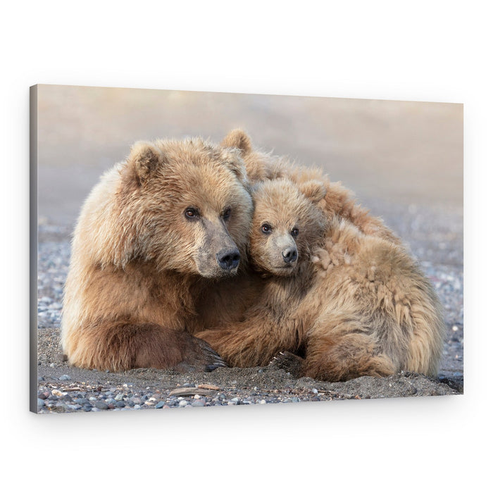 Mother Bear Love – Canvas Print
