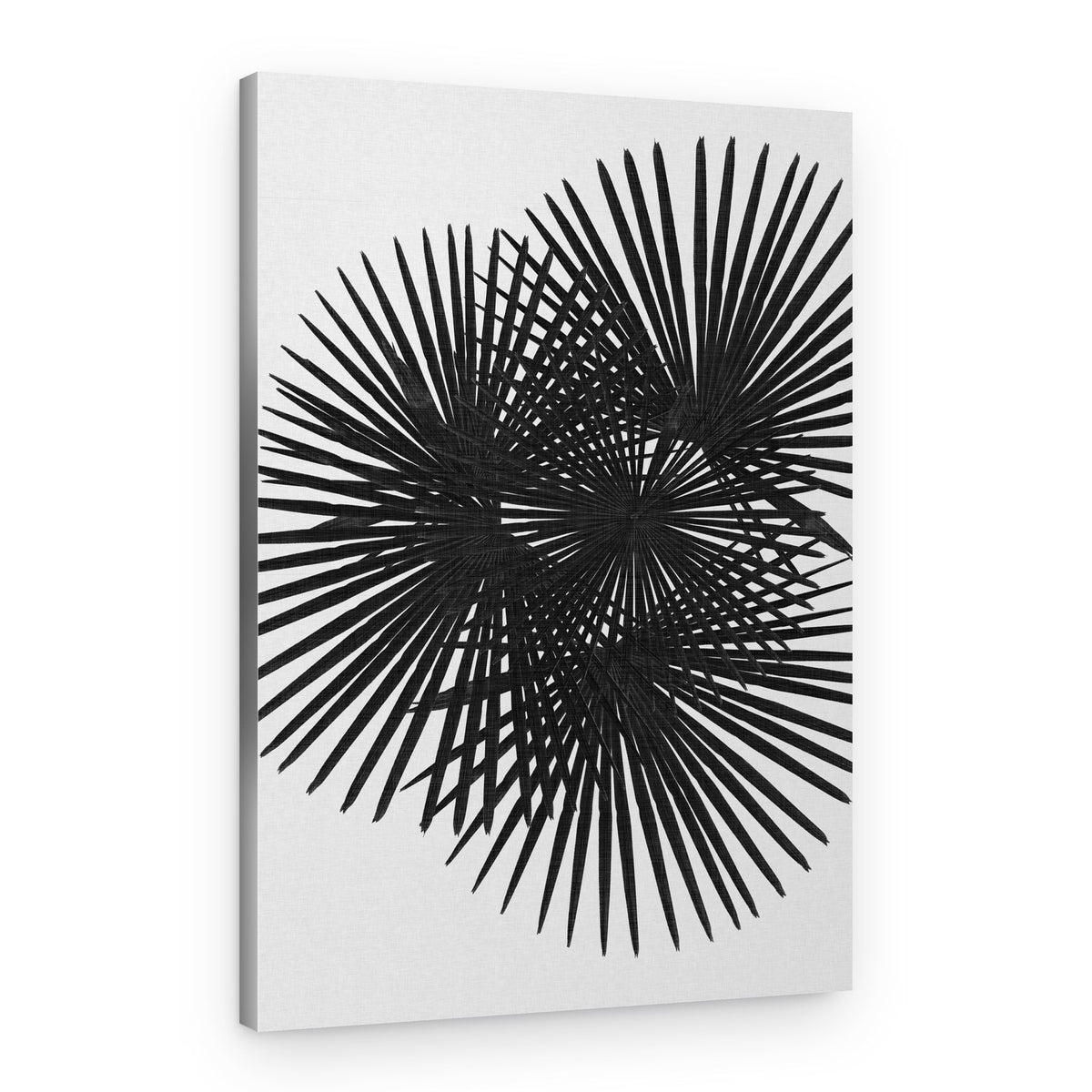 Dynamic Optical Starbursts – Canvas Print