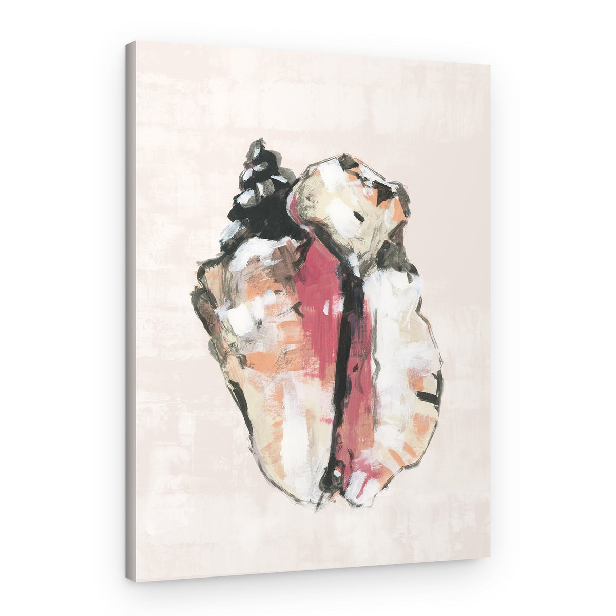 Abstract Conch Shell – Canvas Print