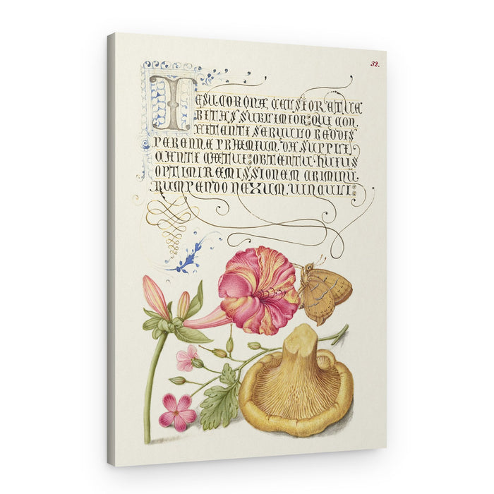 Mira Calligraphiae Monumenta – Canvas Print