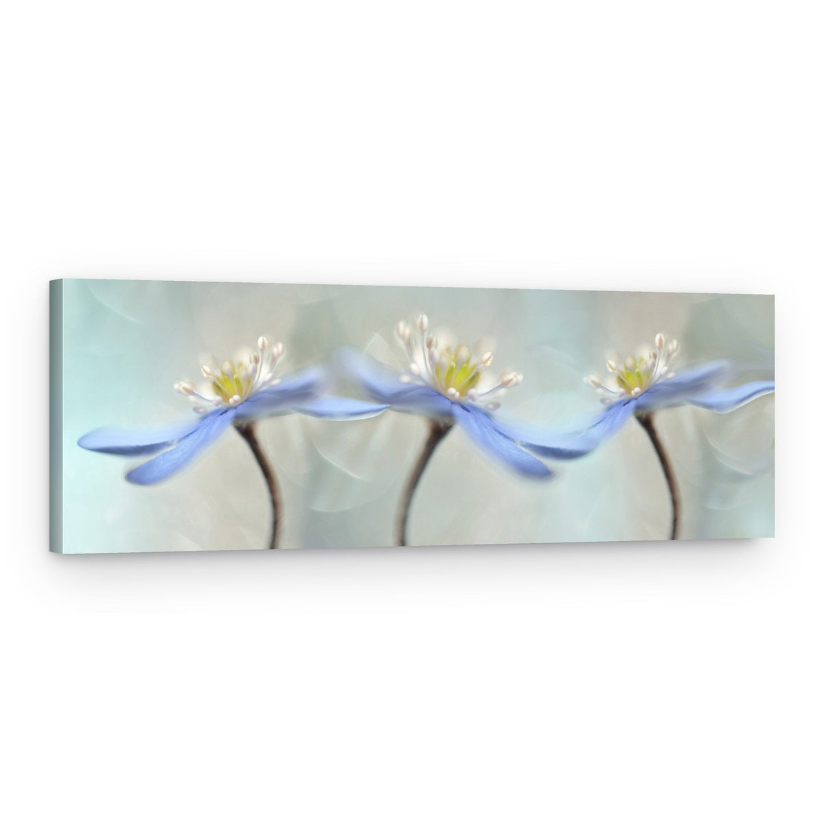 Dreamy Blue Blooms – Canvas Print