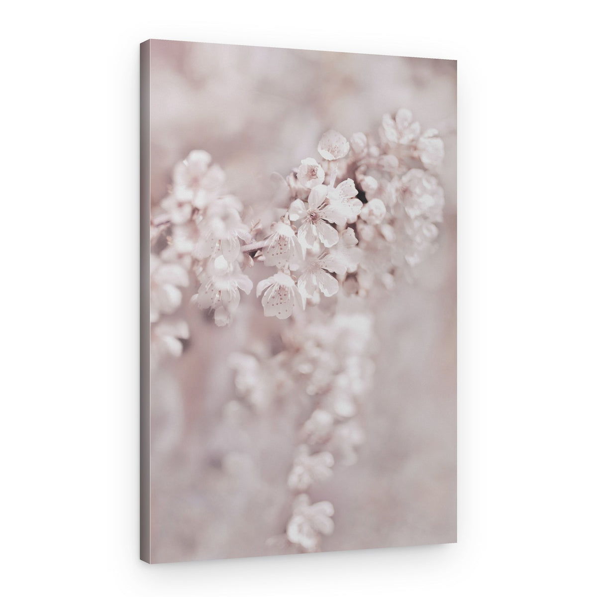 Dreamy Pink Blossoms – Canvas Print
