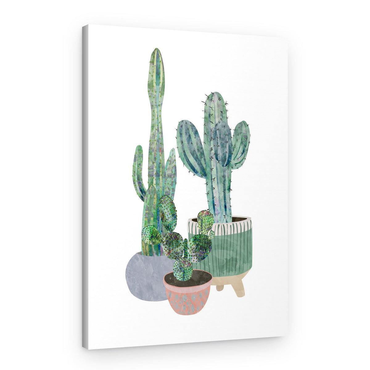 Potted Cactus Collection – Canvas Print