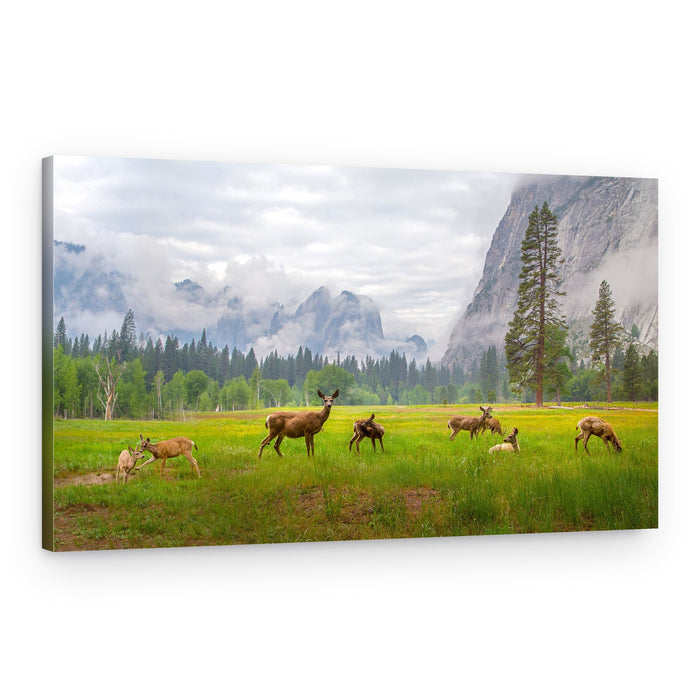 Deer Family Meadow – Canvas Print