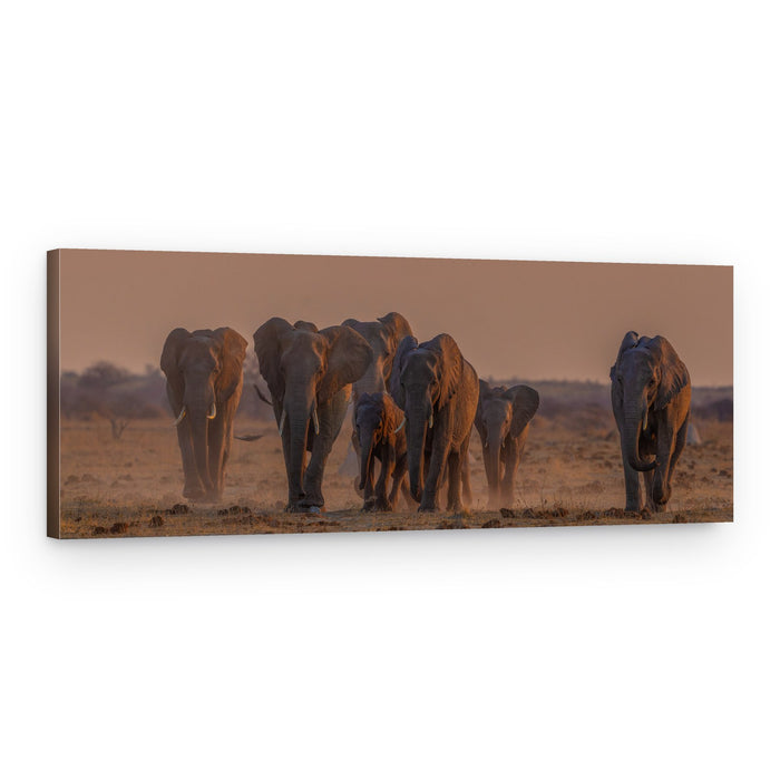Elephants Golden Hour – Canvas Print