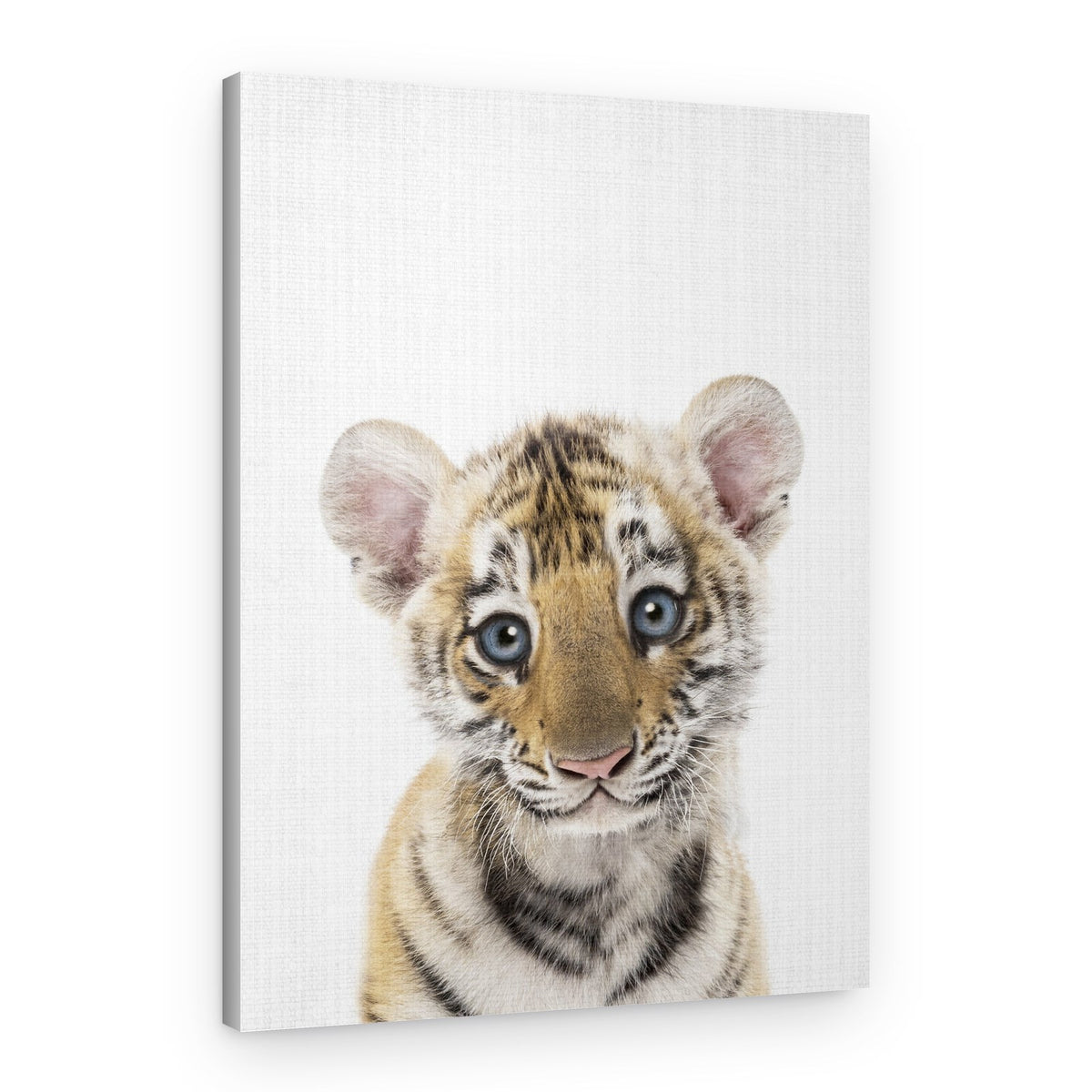 Innocent Tiger Cub – Canvas Print