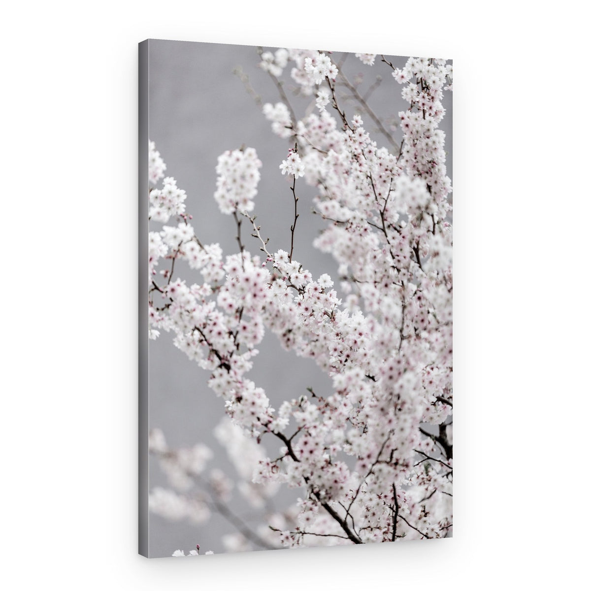 Colorful Spring 6 – Canvas Print