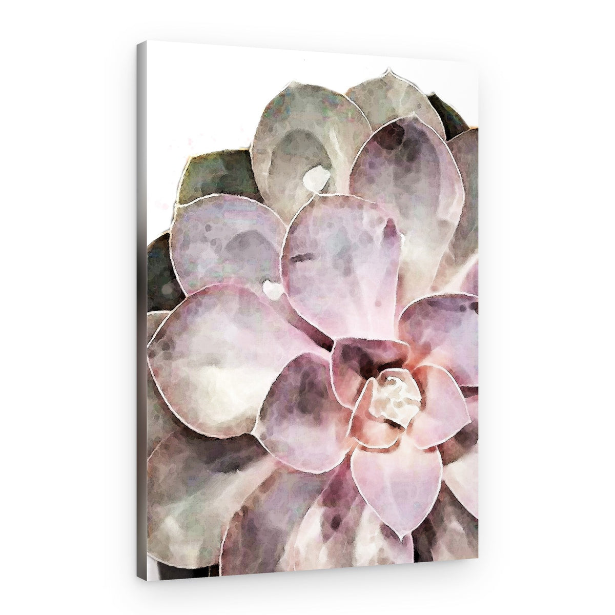 Watercolor Succulent Bloom – Canvas Print