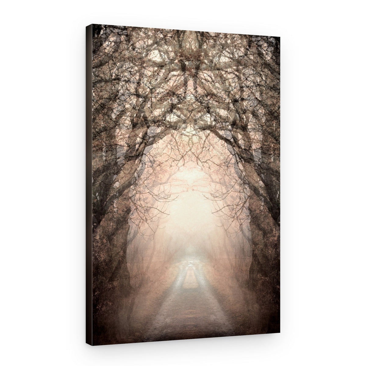 Misty Path To Light – Canvas Print