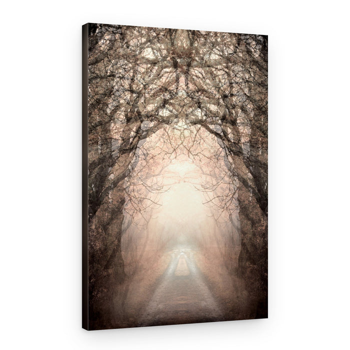 Misty Path To Light – Canvas Print