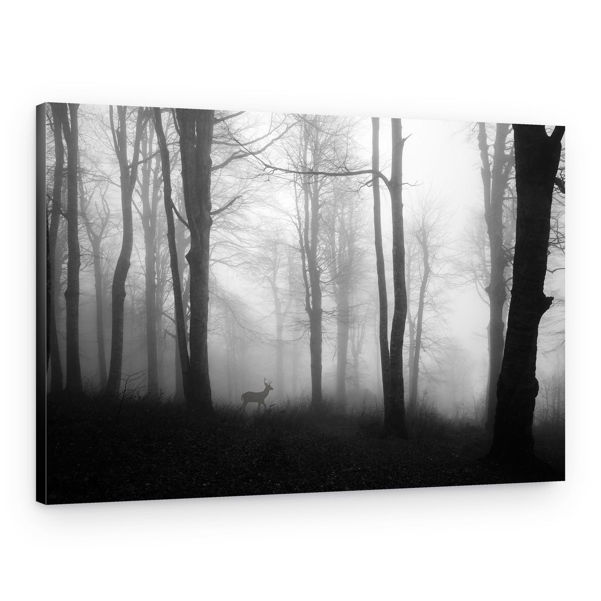 Misty Forest Deer – Canvas Print