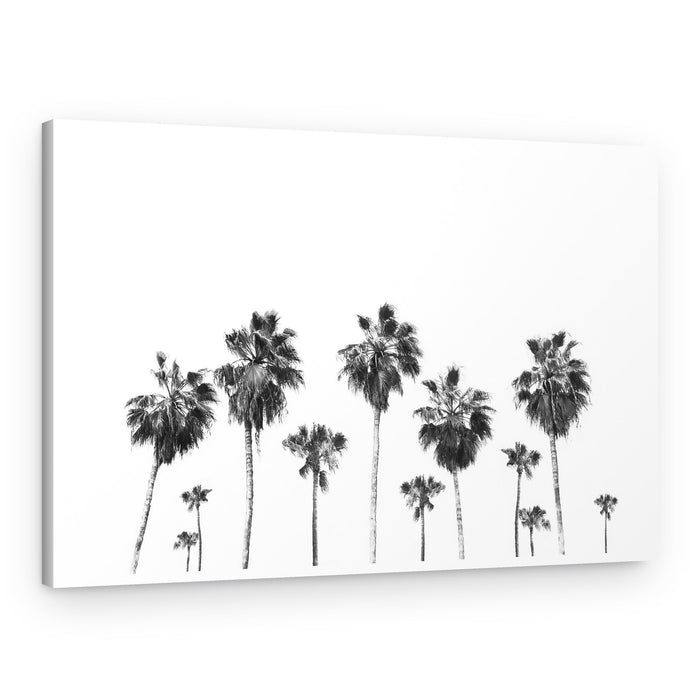 Swaying Palms – Canvas Print