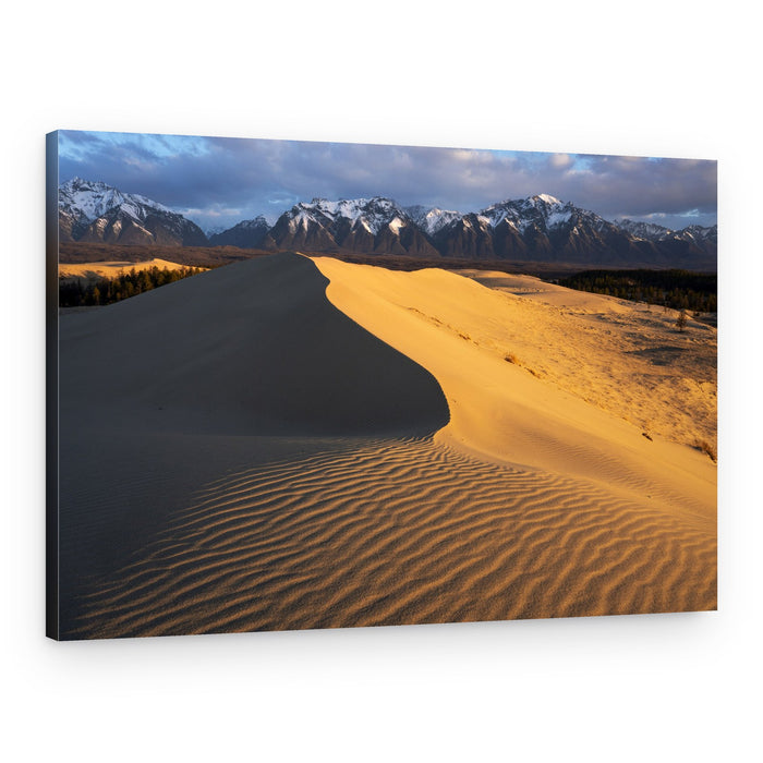 Golden Dunes Snowy Peaks – Canvas Print