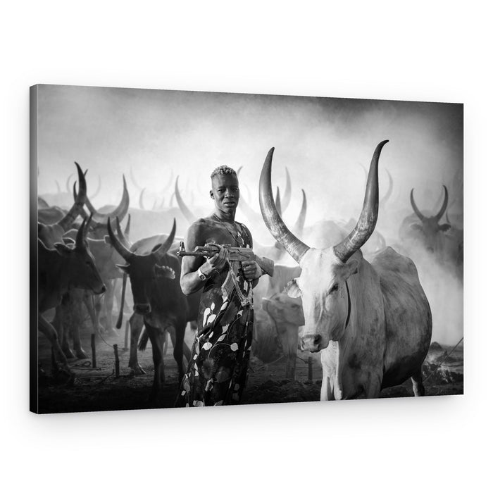 Powerful Herder Longhorn Cattle – Canvas Print