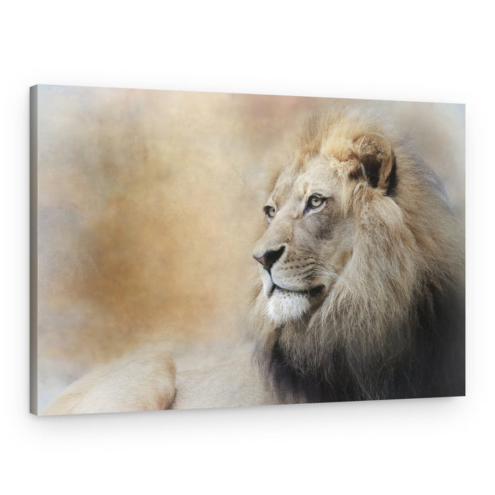 Majestic Lion Gaze – Canvas Print