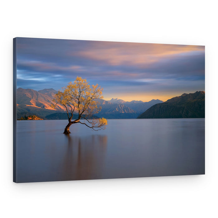 Lone Wanaka Tree – Canvas Print