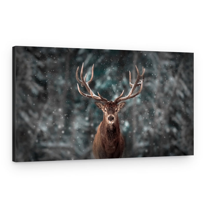 Majestic Winter Stag – Canvas Print