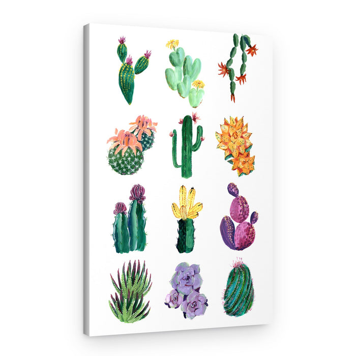 Vibrant Cactus Illustrations – Canvas Print