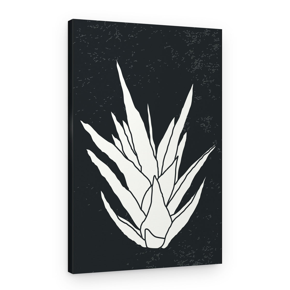 Minimalist Agave Illustration – Canvas Print