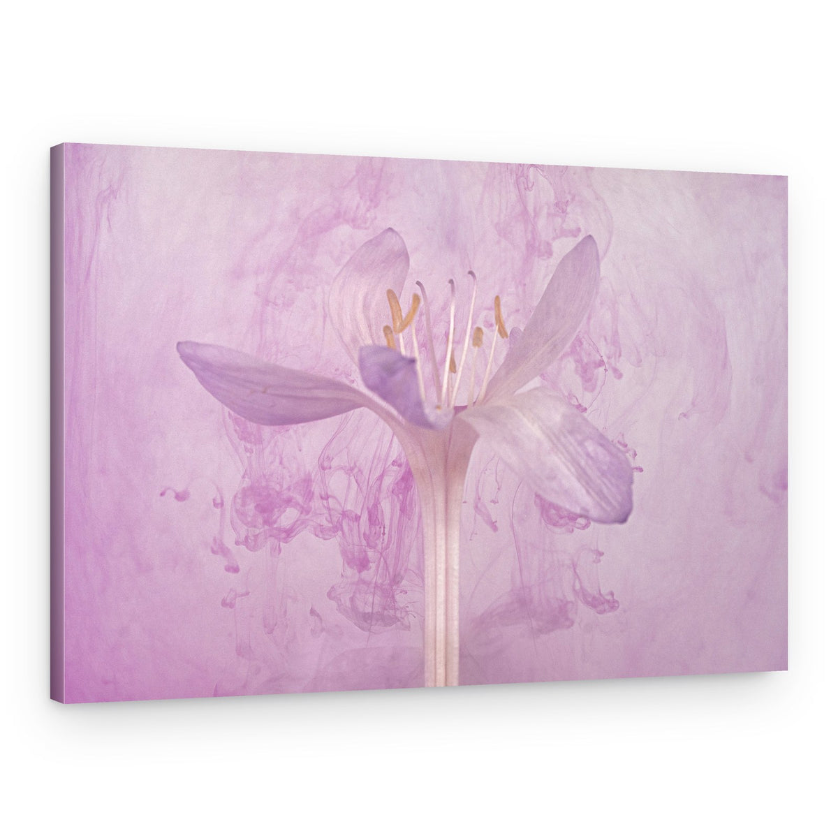 Lavender Ink Bloom – Canvas Print