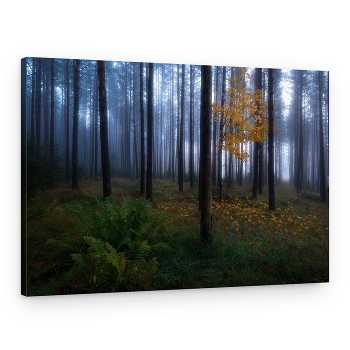 Misty Autumn Forest – Canvas Print