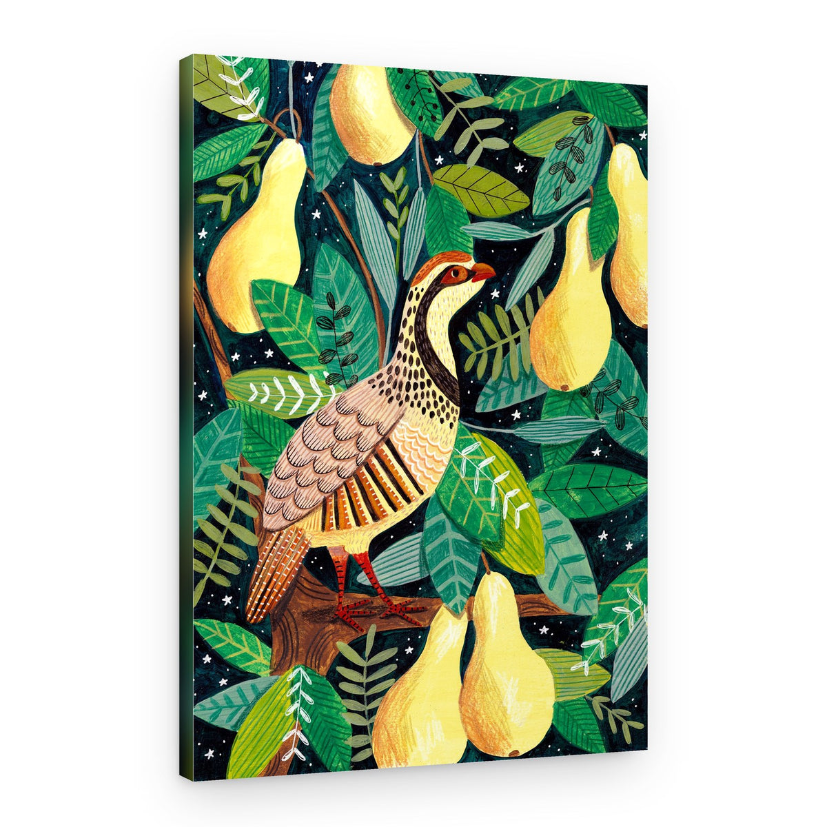 Partridge in a pear tree – Canvas Print