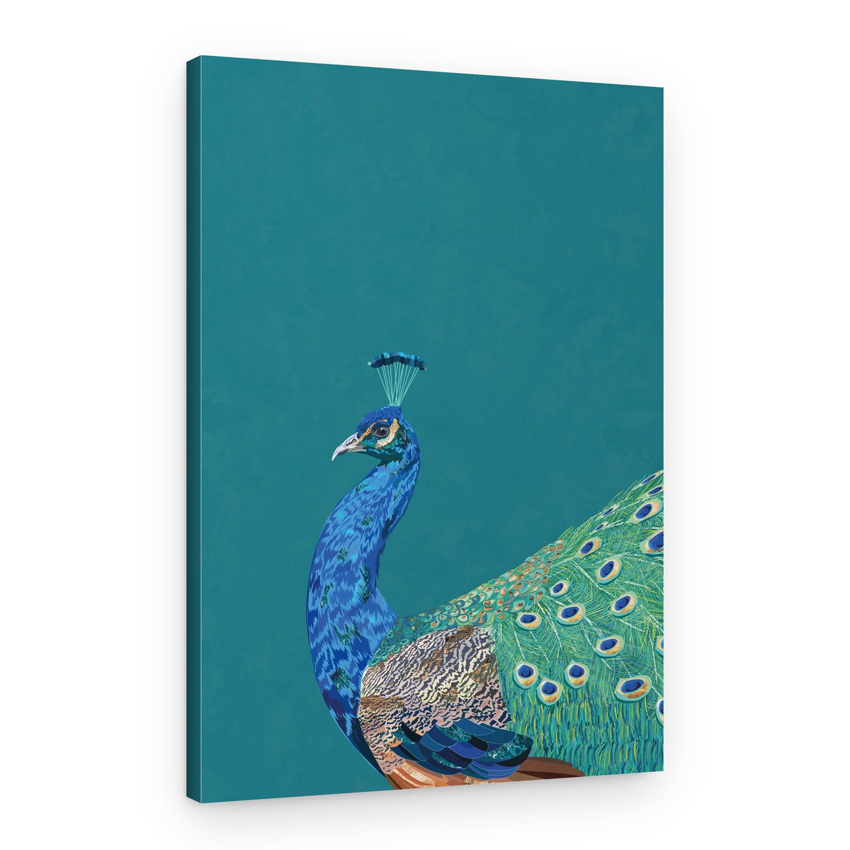 Vibrant Peacock Profile – Canvas Print