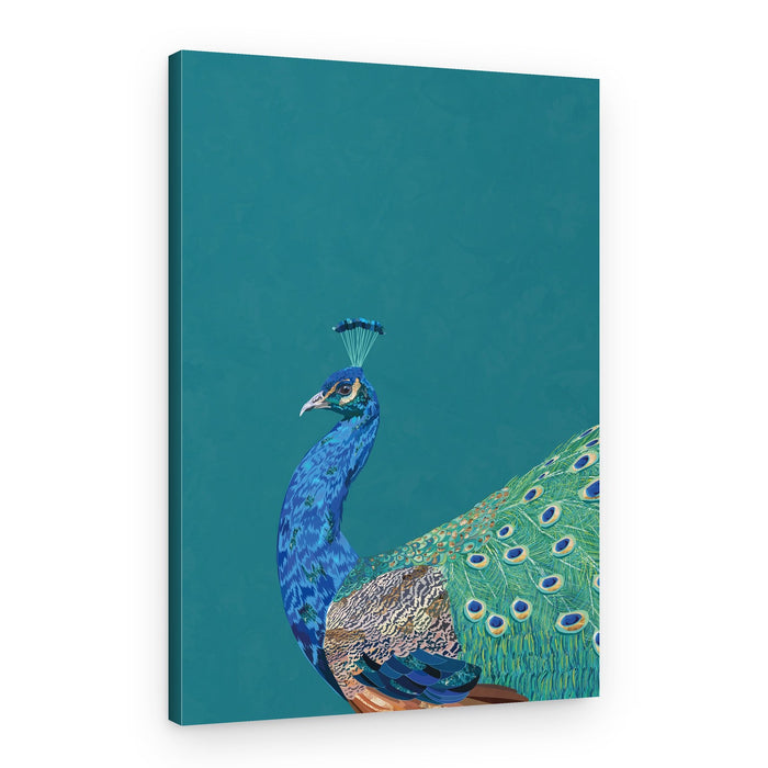 Vibrant Peacock Profile – Canvas Print