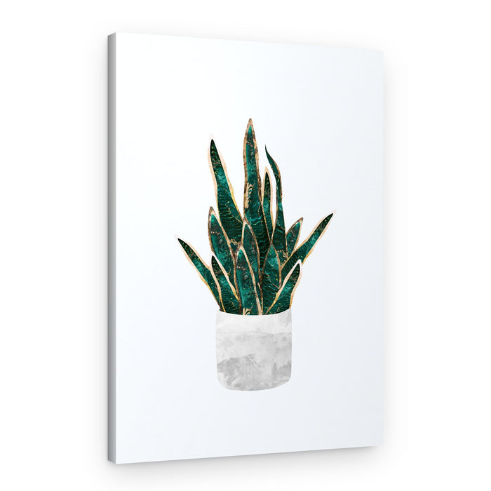 Golden Emerald Snake Plant – Canvas Print