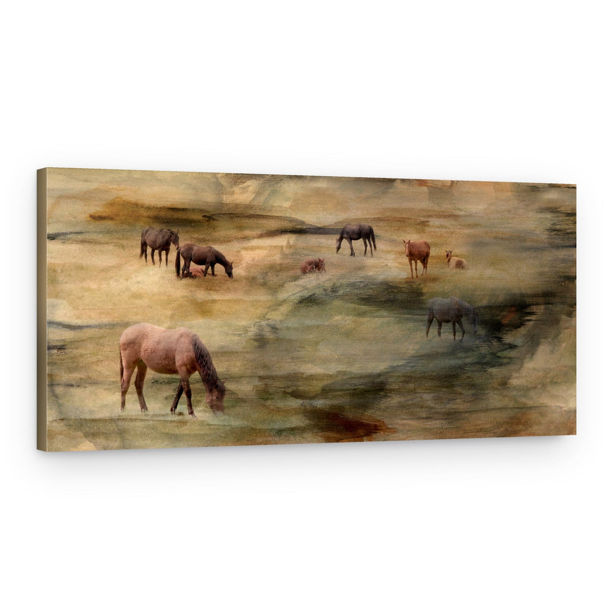 Wild Horses Grazing – Canvas Print