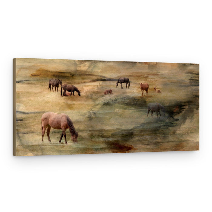 Wild Horses Grazing – Canvas Print