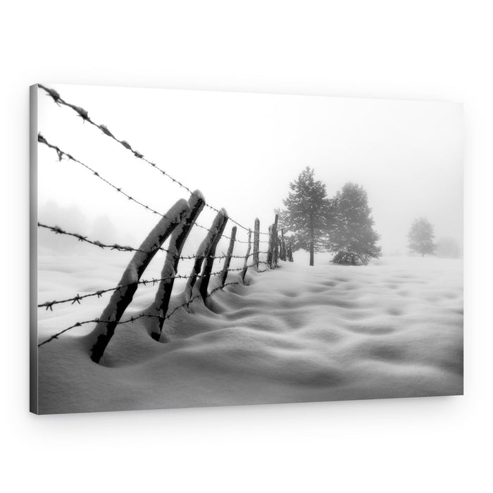 Misty Winter Fence – Canvas Print