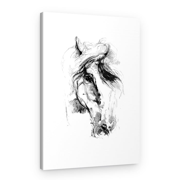 Expressive Horse Sketch – Canvas Print