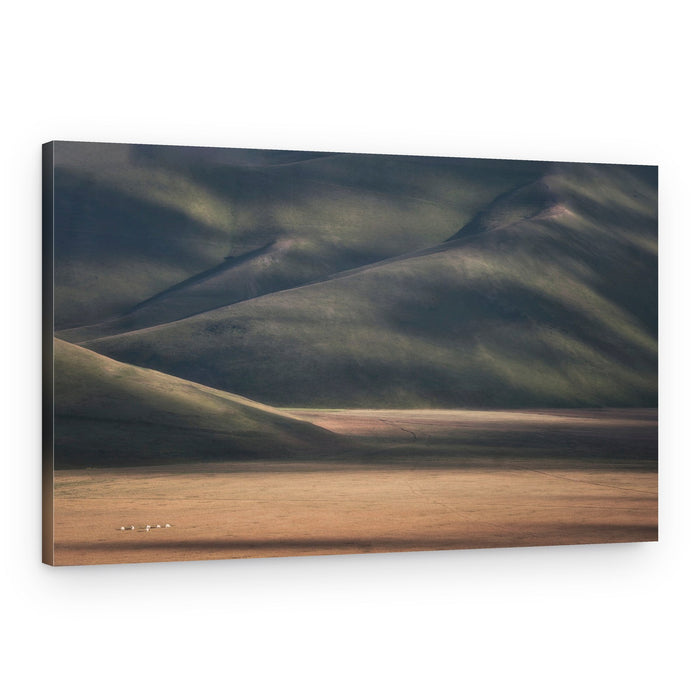 Light Across Rolling Hills – Canvas Print