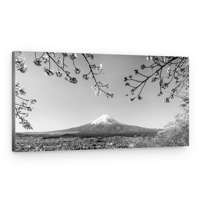 Mount Fuji Cherry Blossoms – Canvas Print