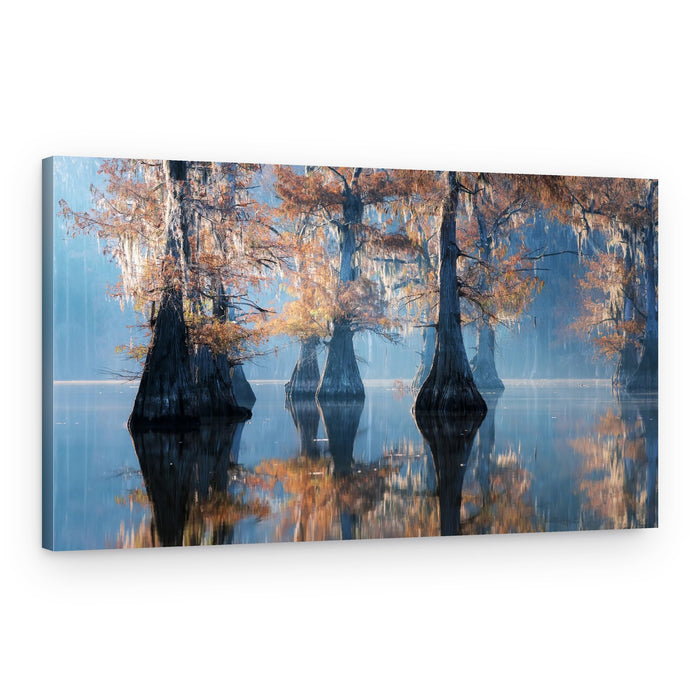 Misty Cypress Reflections – Canvas Print