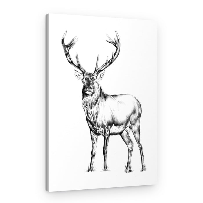 Majestic Stag – Canvas Print