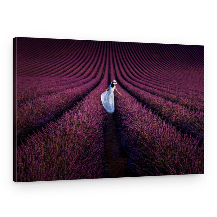 Elegant Lavender Walk – Canvas Print