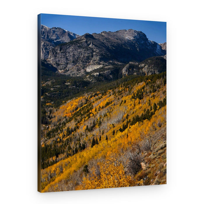 Golden Aspen Mountains – Canvas Print