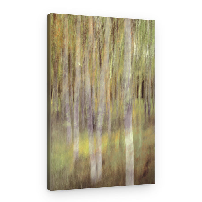 Abstract Forest Serenity – Canvas Print