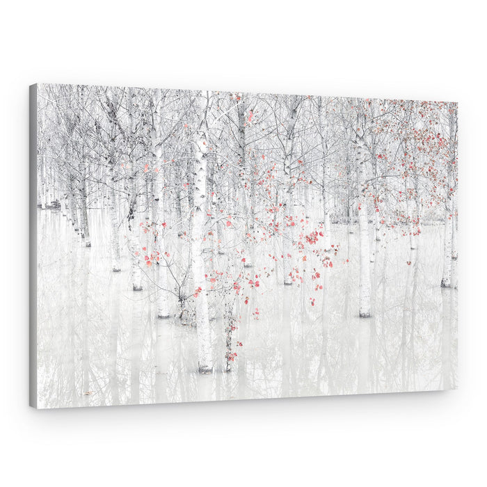 White Birch Red Leaves – Canvas Print