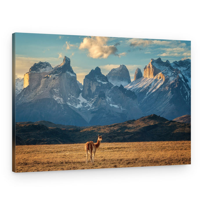 Patagonian Guanaco Mountains – Canvas Print