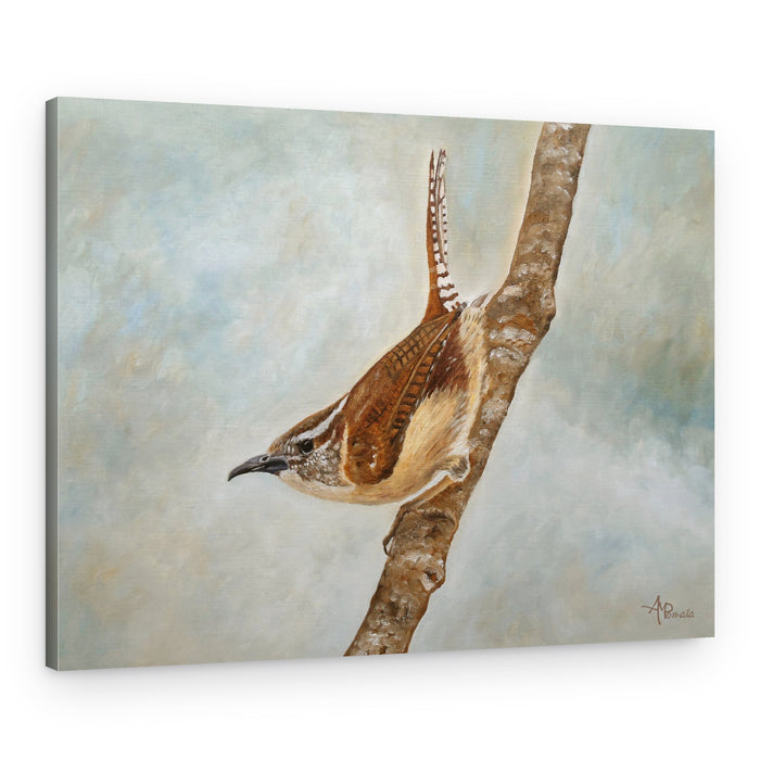 Carolina Wren on Branch – Canvas Print