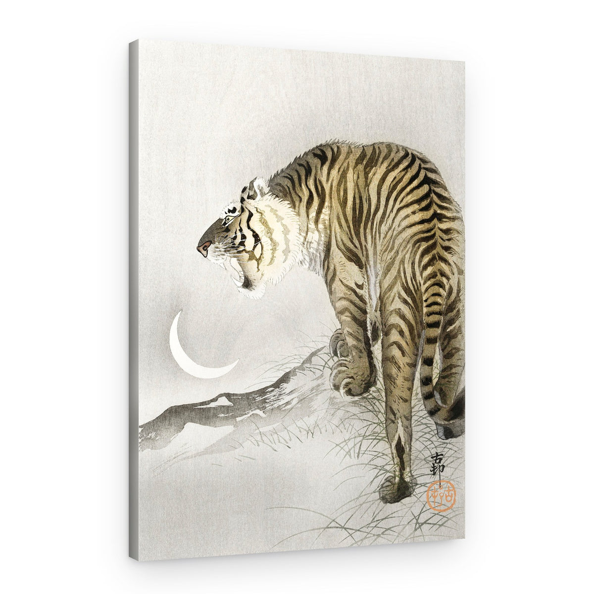 Roaring Tiger – Canvas Print