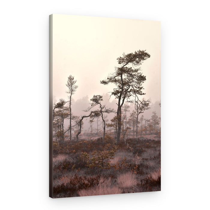 Misty Pine Landscape – Canvas Print