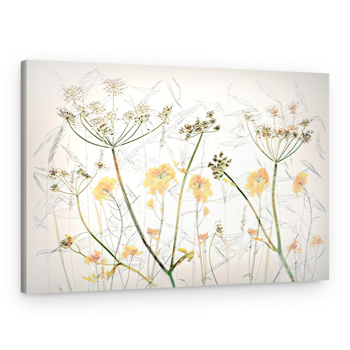 Delicate Botanical Sketches – Canvas Print